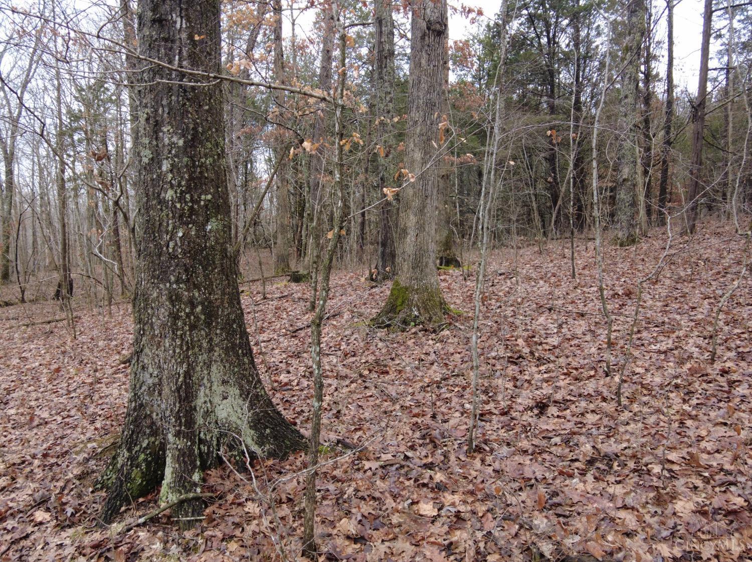 Ac Lawshe Road, Meigs Twp, Ohio image 13