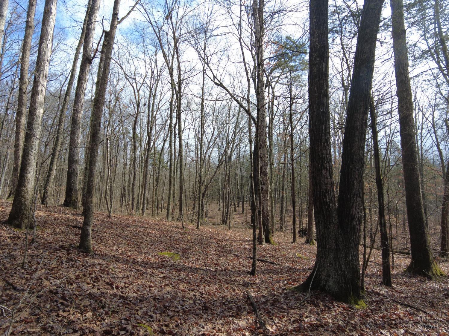 Ac Lawshe Road, Meigs Twp, Ohio image 11