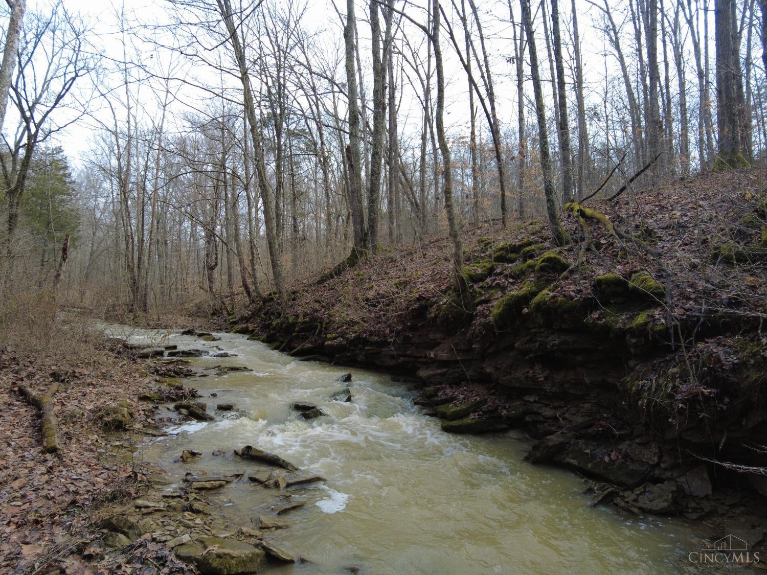 Ac Lawshe Road, Meigs Twp, Ohio image 30