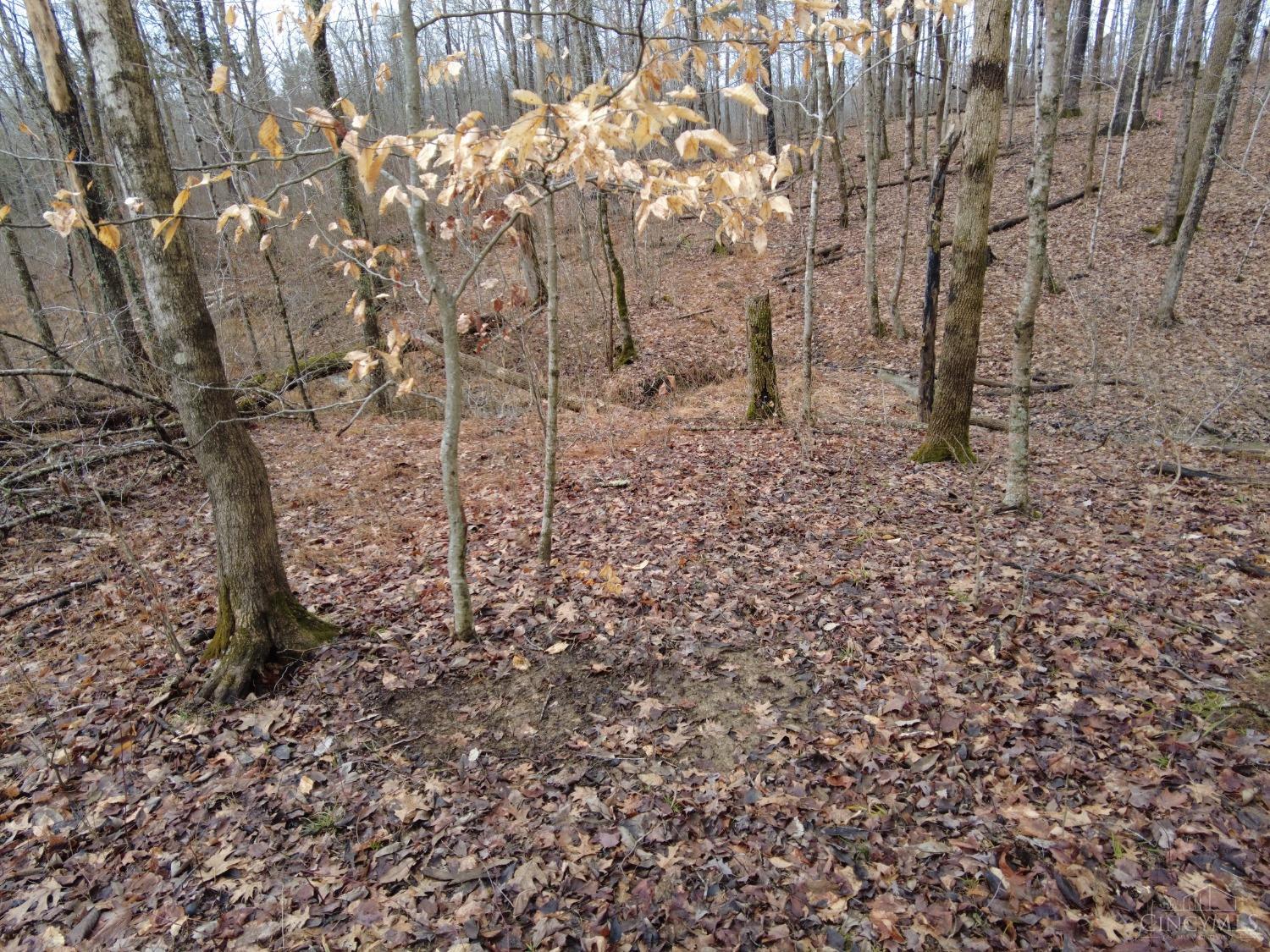 Ac Lawshe Road, Meigs Twp, Ohio image 17