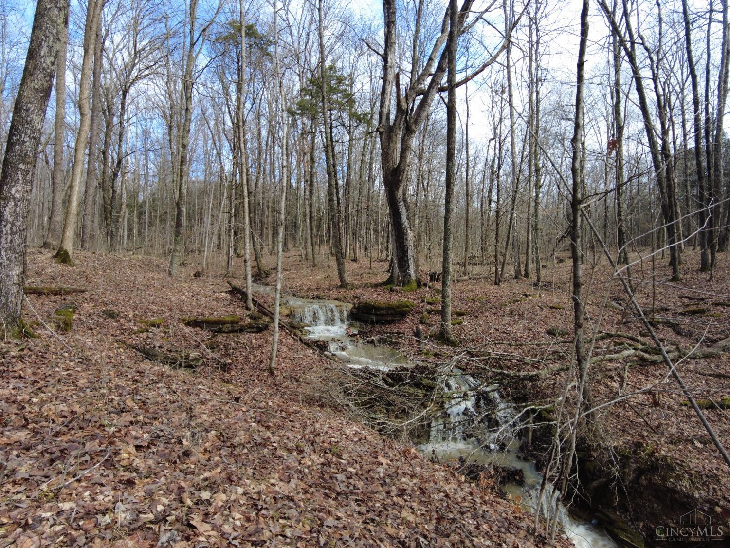 Ac Lawshe Road, Meigs Twp, Ohio image 25