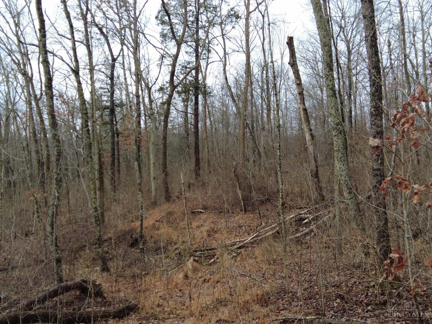 Ac Lawshe Road, Meigs Twp, Ohio image 18