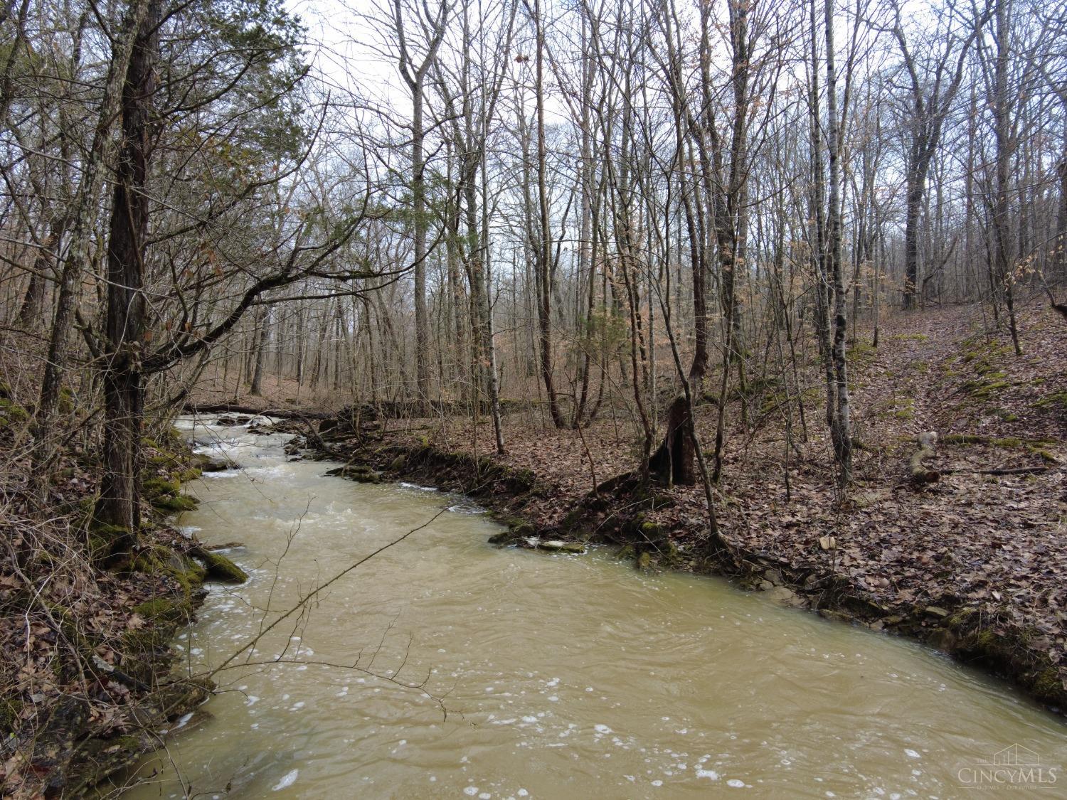 Ac Lawshe Road, Meigs Twp, Ohio image 29