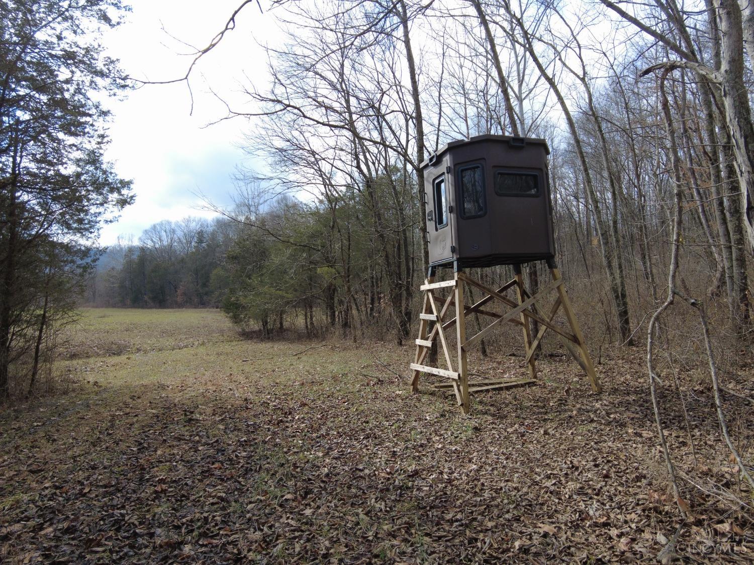 Ac Lawshe Road, Meigs Twp, Ohio image 35