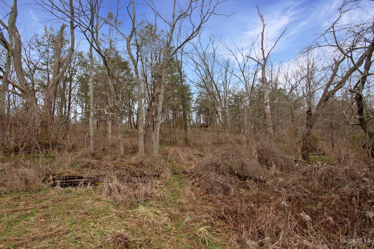 2395 Eagle Creek Road, West Union, Ohio image 36