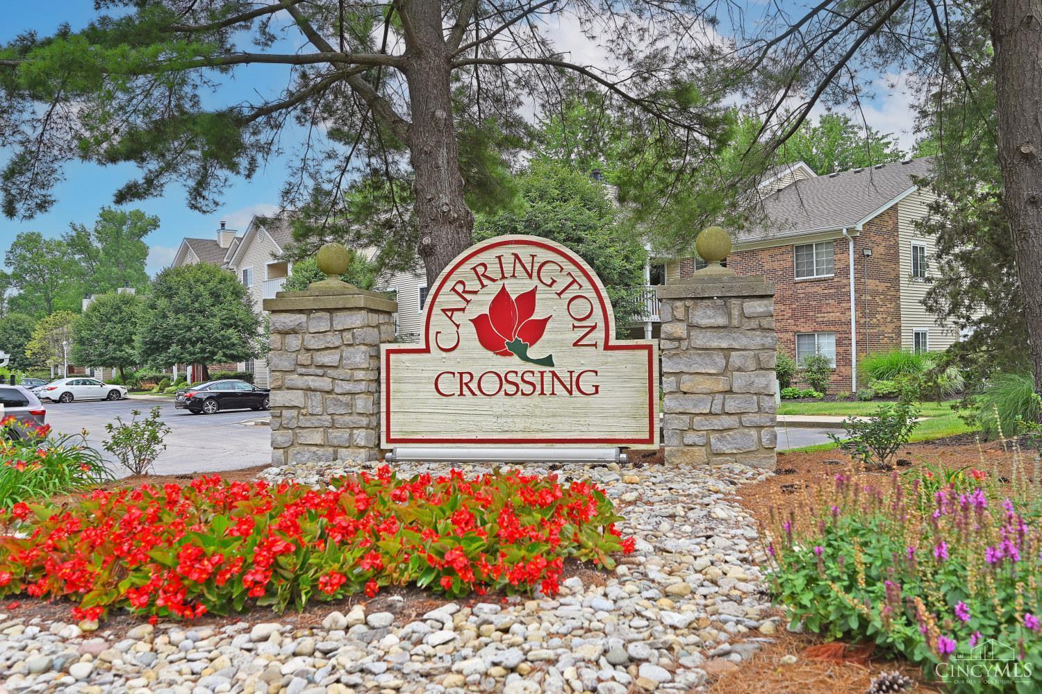12031 Carrington Lane 206