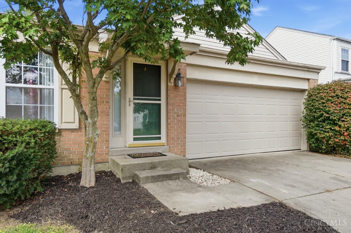 6629 Black Forest Court
