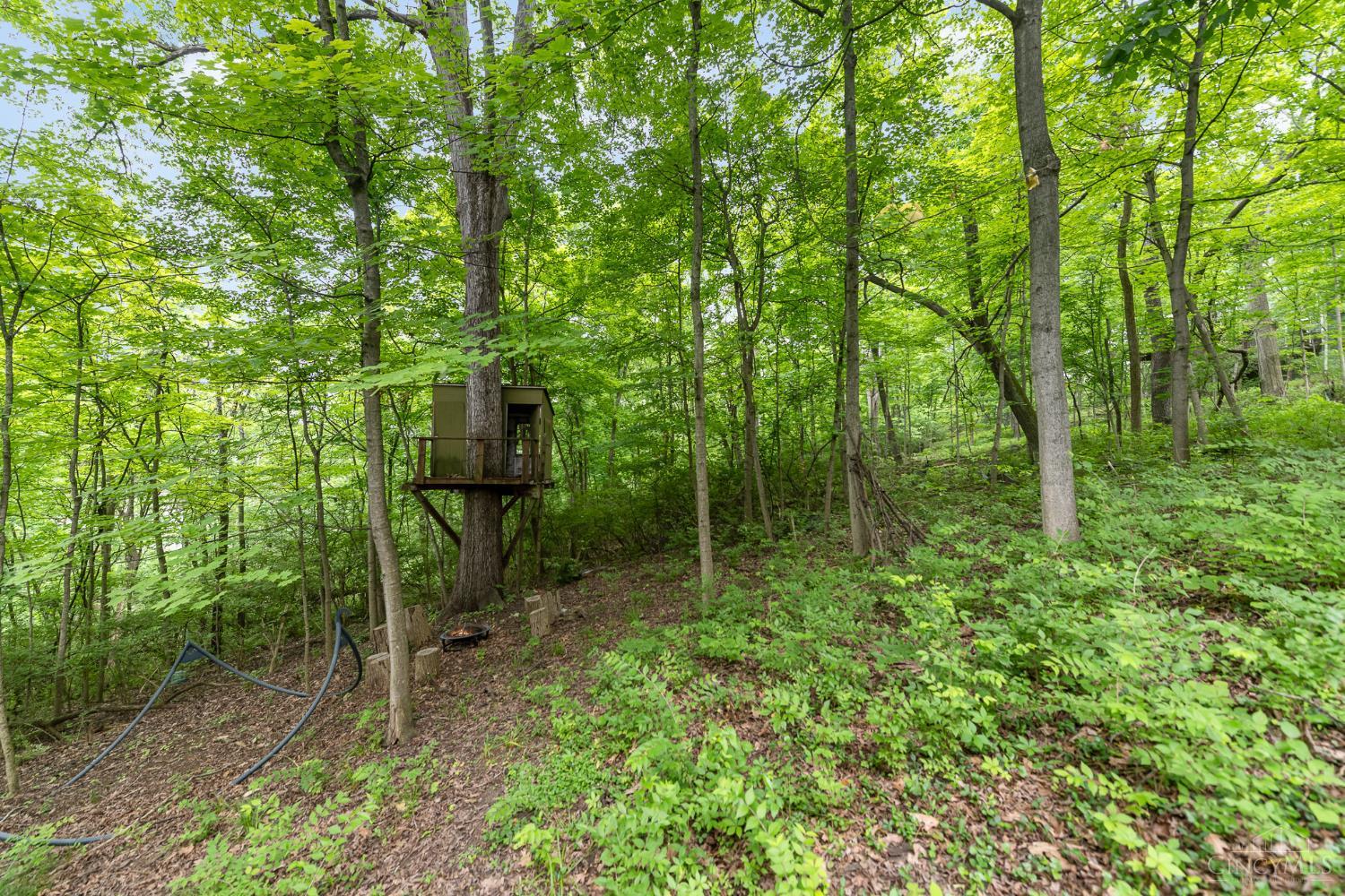 3845 Chimney Hill Drive, Blue Ash, Ohio image 46