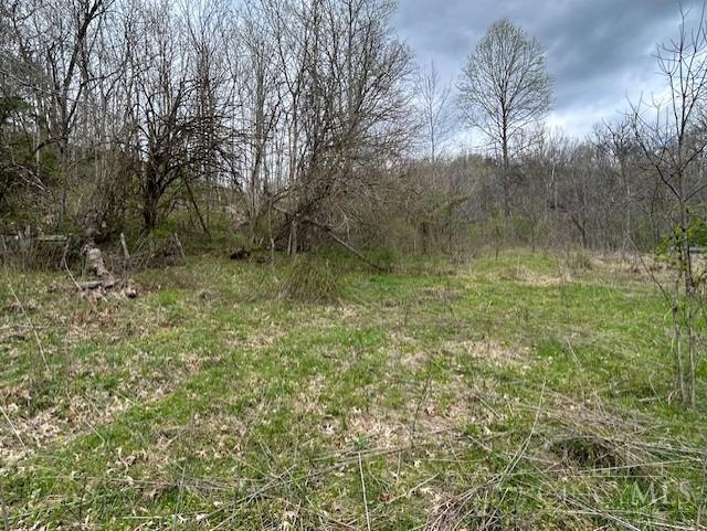 619 Felicity Cedron Rural Road, Franklin, Ohio image 15
