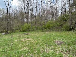 619 Felicity Cedron Rural Road, Franklin, Ohio image 3