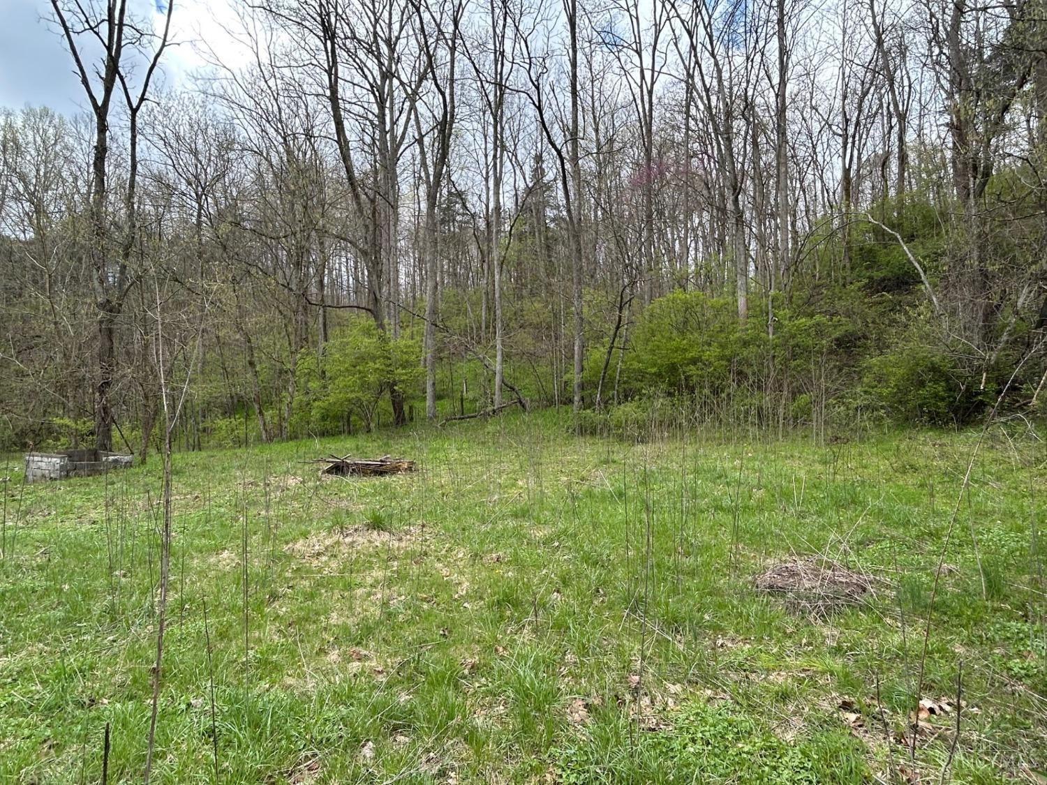 619 Felicity Cedron Rural Road, Franklin, Ohio image 4