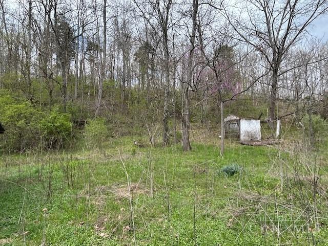 619 Felicity Cedron Rural Road, Franklin, Ohio image 12