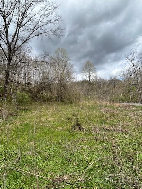 619 Felicity Cedron Rural Road, Franklin, Ohio image 13
