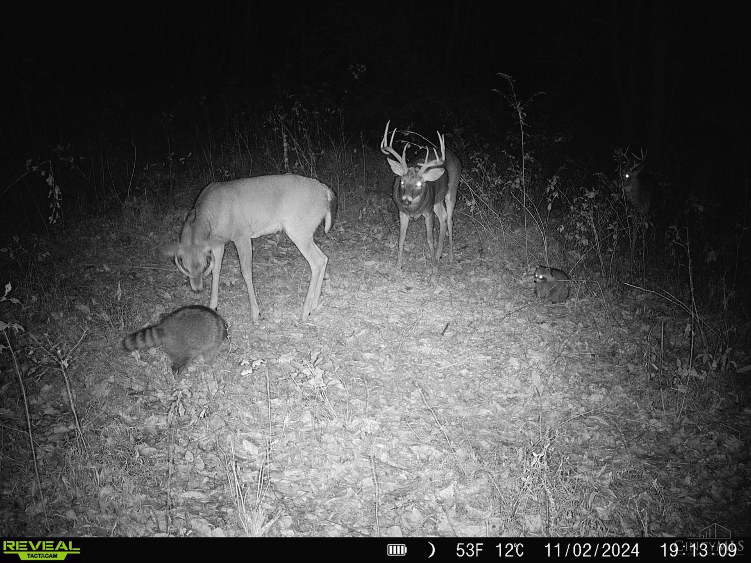 Sedan Crabtree Road, Lucasville, Ohio image 12