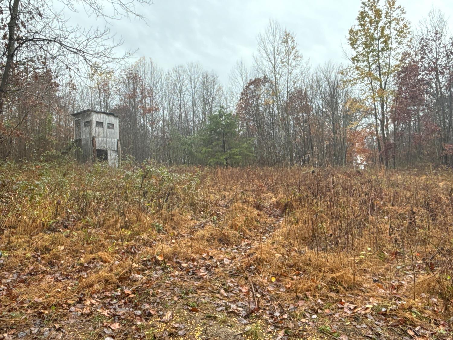 Sedan Crabtree Road, Lucasville, Ohio image 3