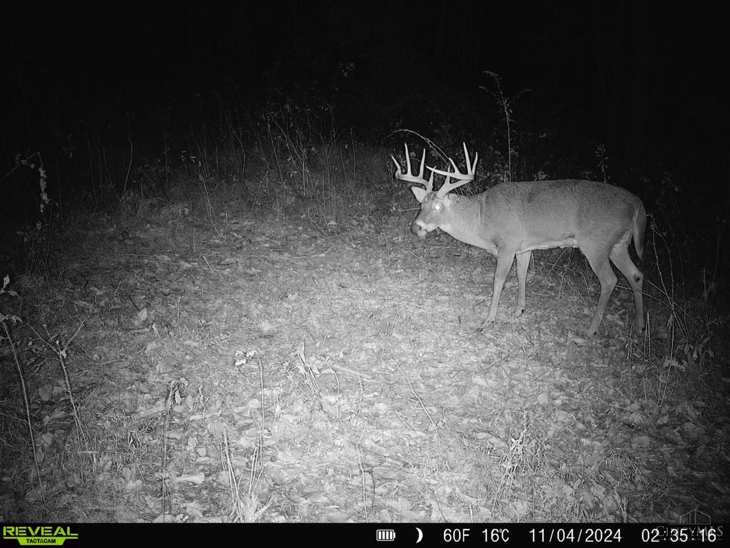 Sedan Crabtree Road, Lucasville, Ohio image 14