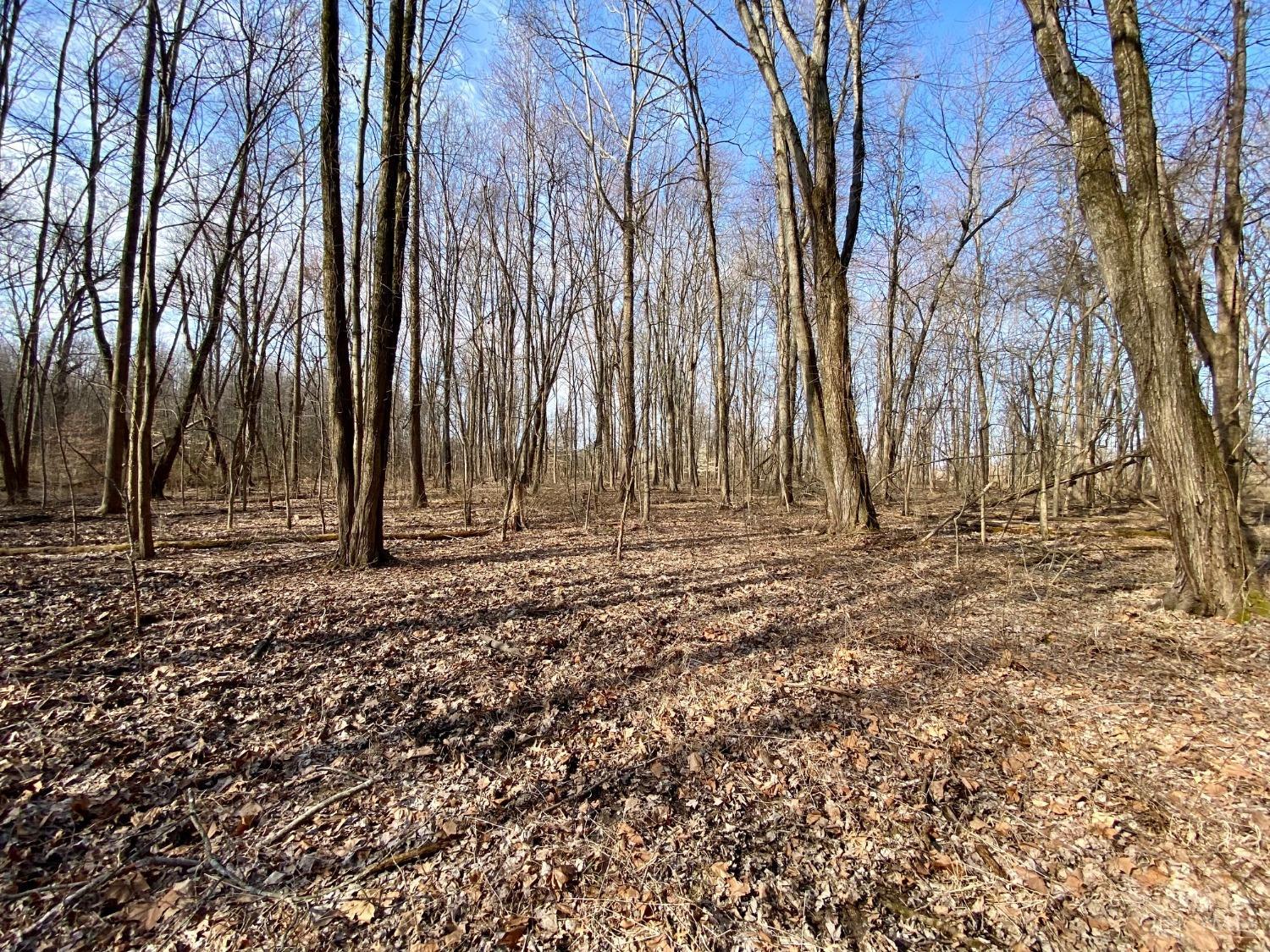 Ac Goodwin Schoolhouse Road, Franklin, Ohio image 7