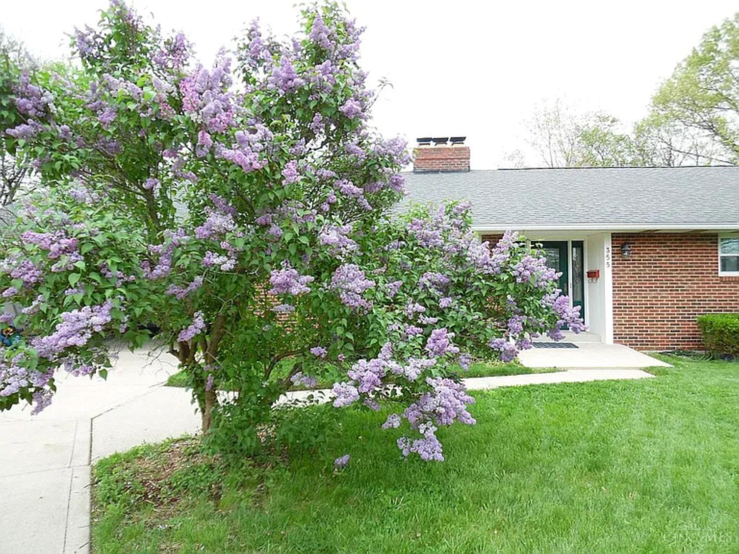 355 Summit Street, Lebanon, Ohio image 10