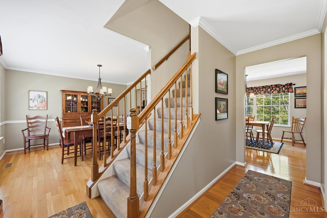 1698 Wilderness Ridge Road