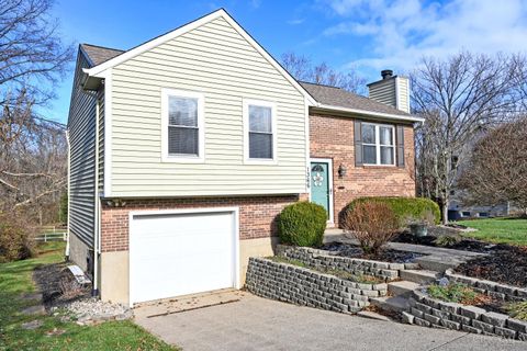 Photo of 1366 Buxton Meadows Drive, Batavia Township, OH 45102 (MLS # 1863786)