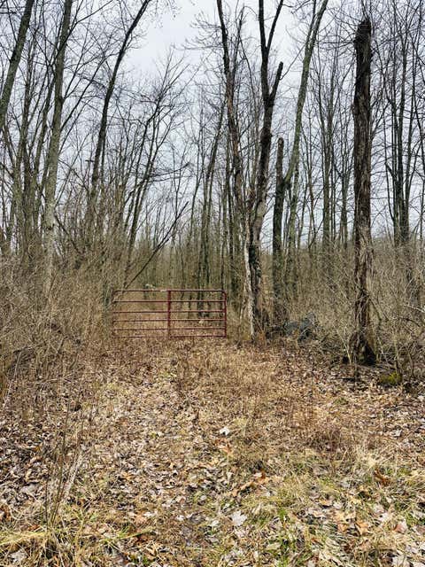 Photo for 3505 Starling Road