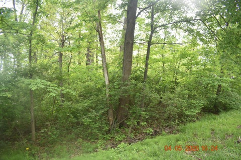 Vacant Land For Sale - Schiltz Drive #210<br/> Perry Twp, OH 45118