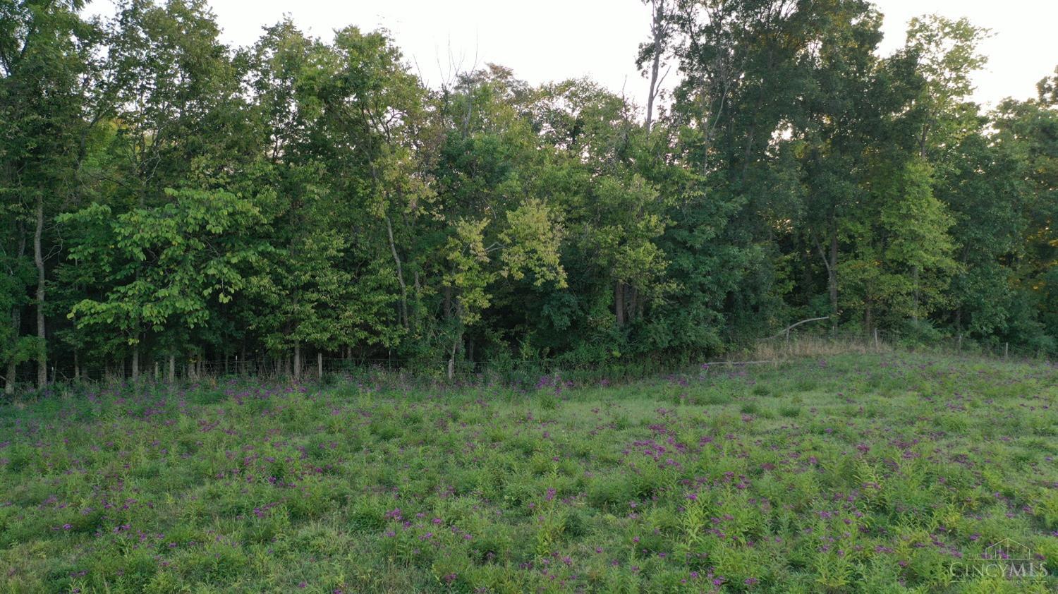 40.7ac Hickory Ridge Road, Huntington Twp, Ohio image 7