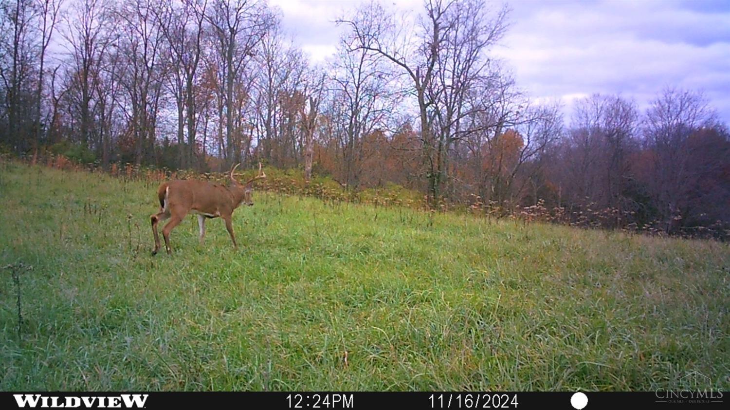 40.7ac Hickory Ridge Road, Huntington Twp, Ohio image 14