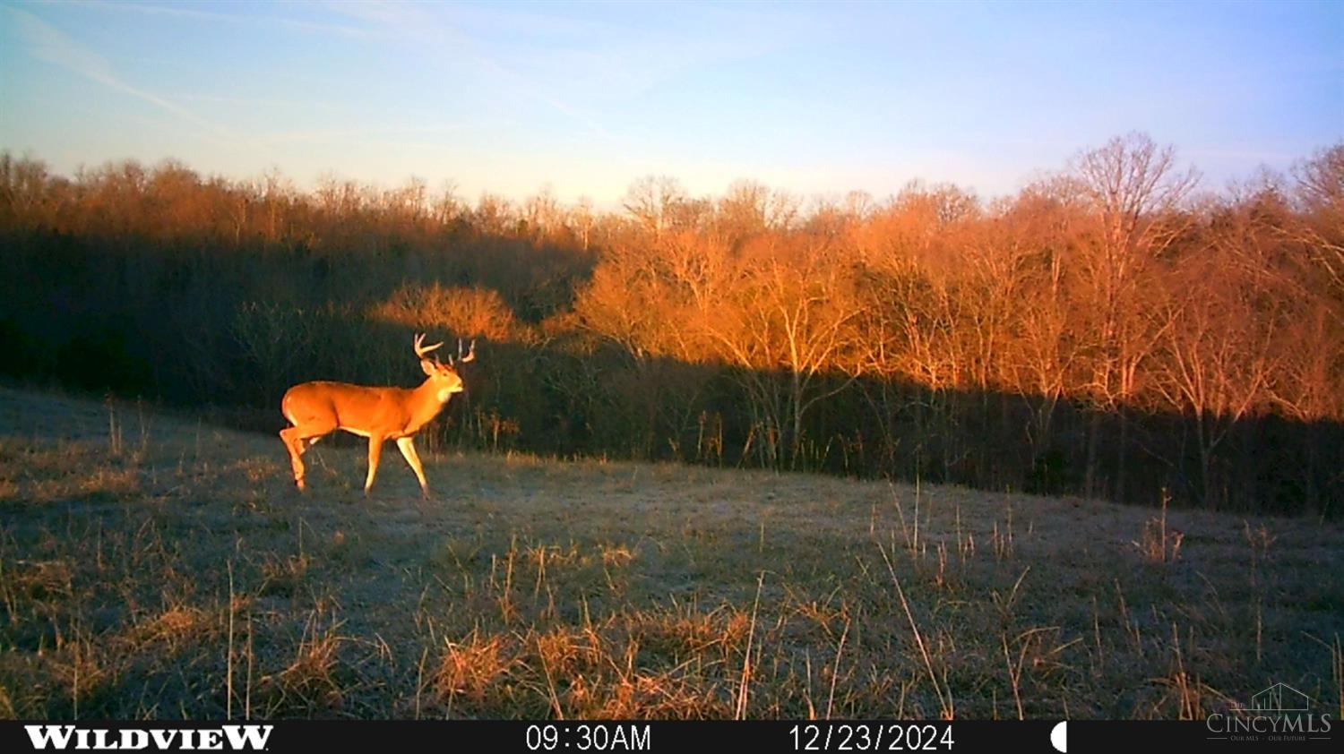 40.7ac Hickory Ridge Road, Huntington Twp, Ohio image 10