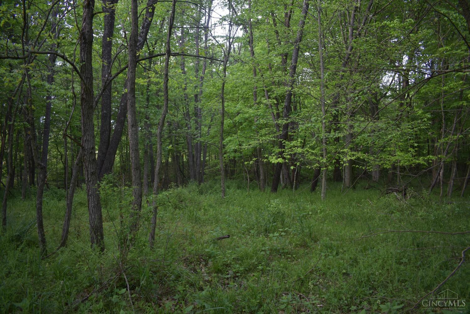 10600 Springer Road, Jackson Twp, Ohio image 11