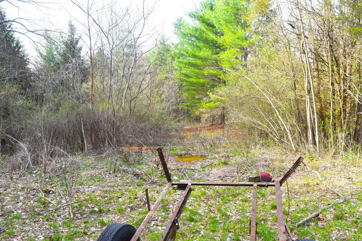 Woodland Trail Road, Metamora, Indiana image 10