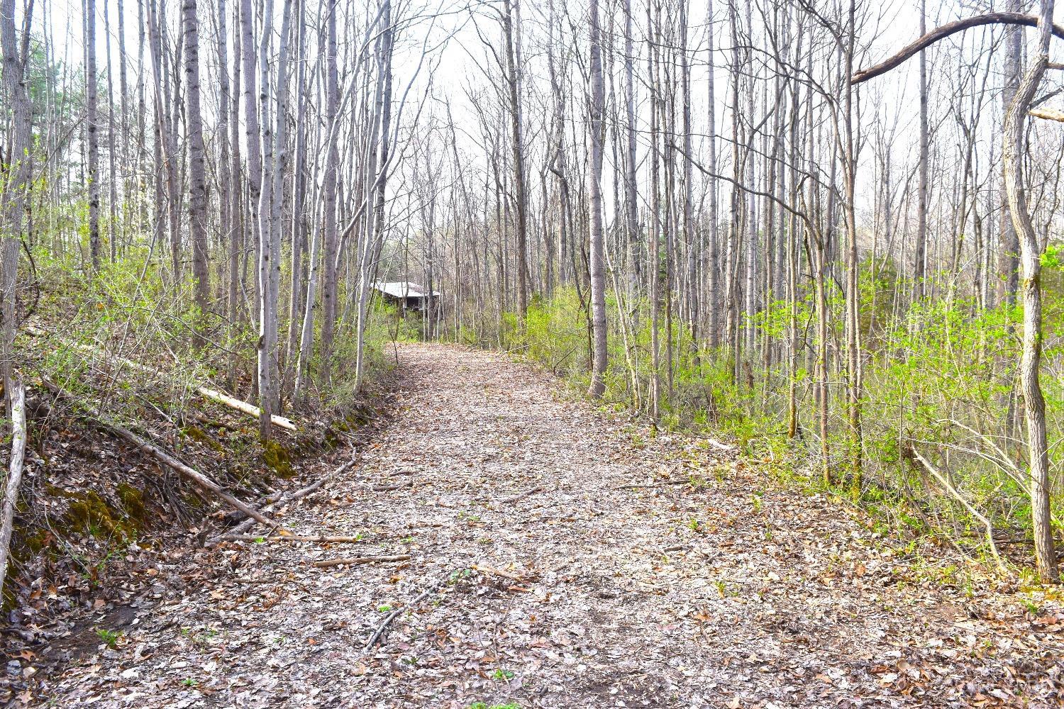Woodland Trail Road, Metamora, Indiana image 3