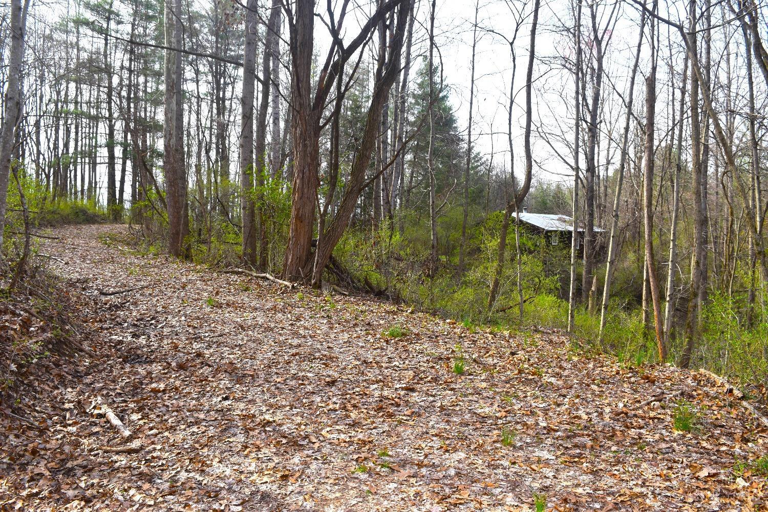 Woodland Trail Road, Metamora, Indiana image 5
