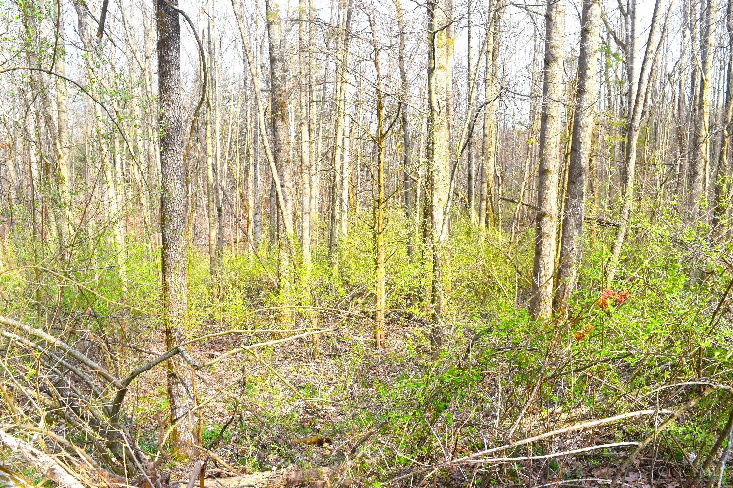 Woodland Trail Road, Metamora, Indiana image 13