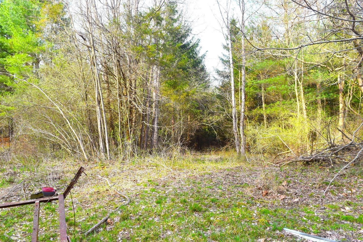 Woodland Trail Road, Metamora, Indiana image 9
