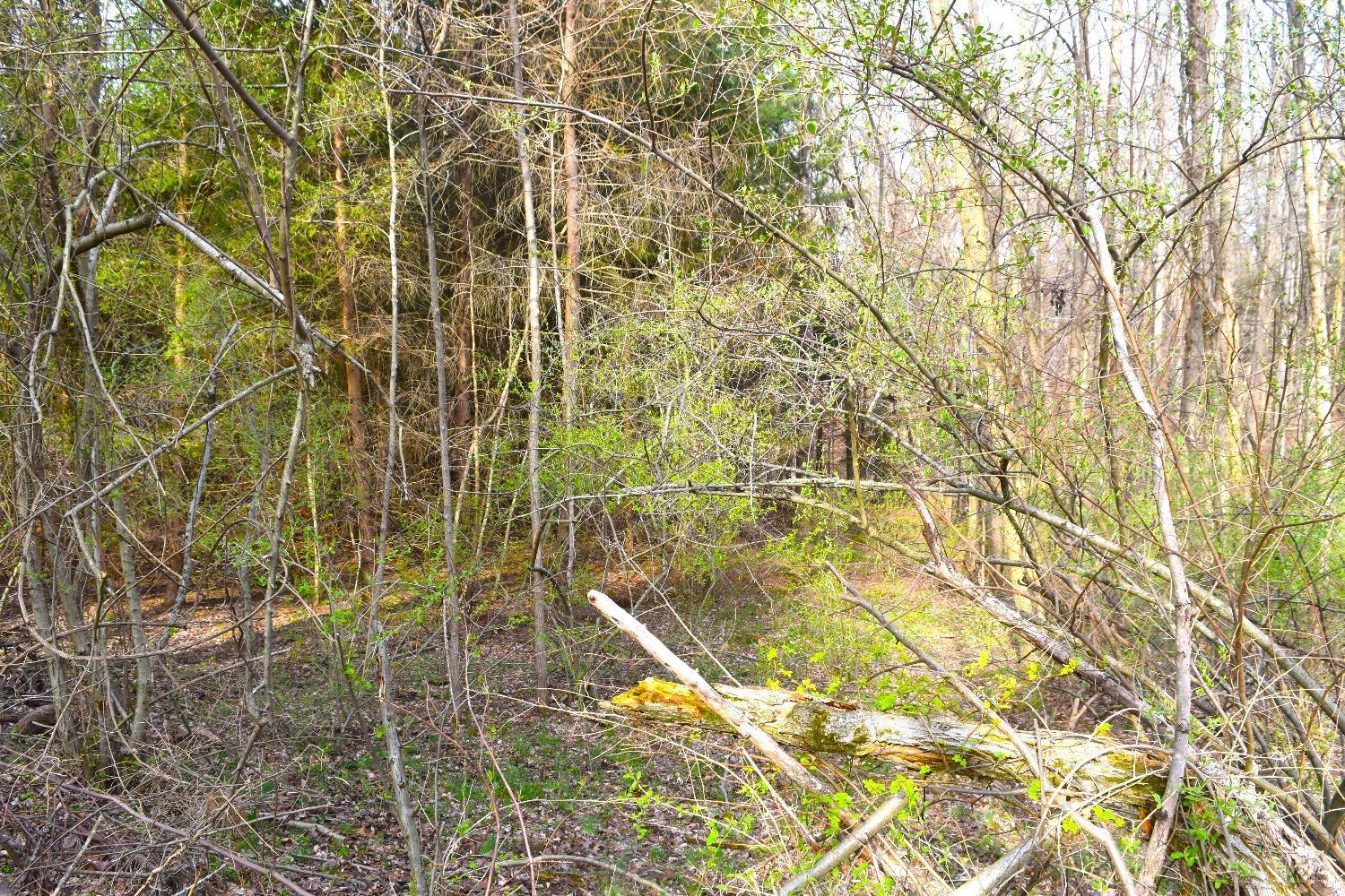 Woodland Trail Road, Metamora, Indiana image 12