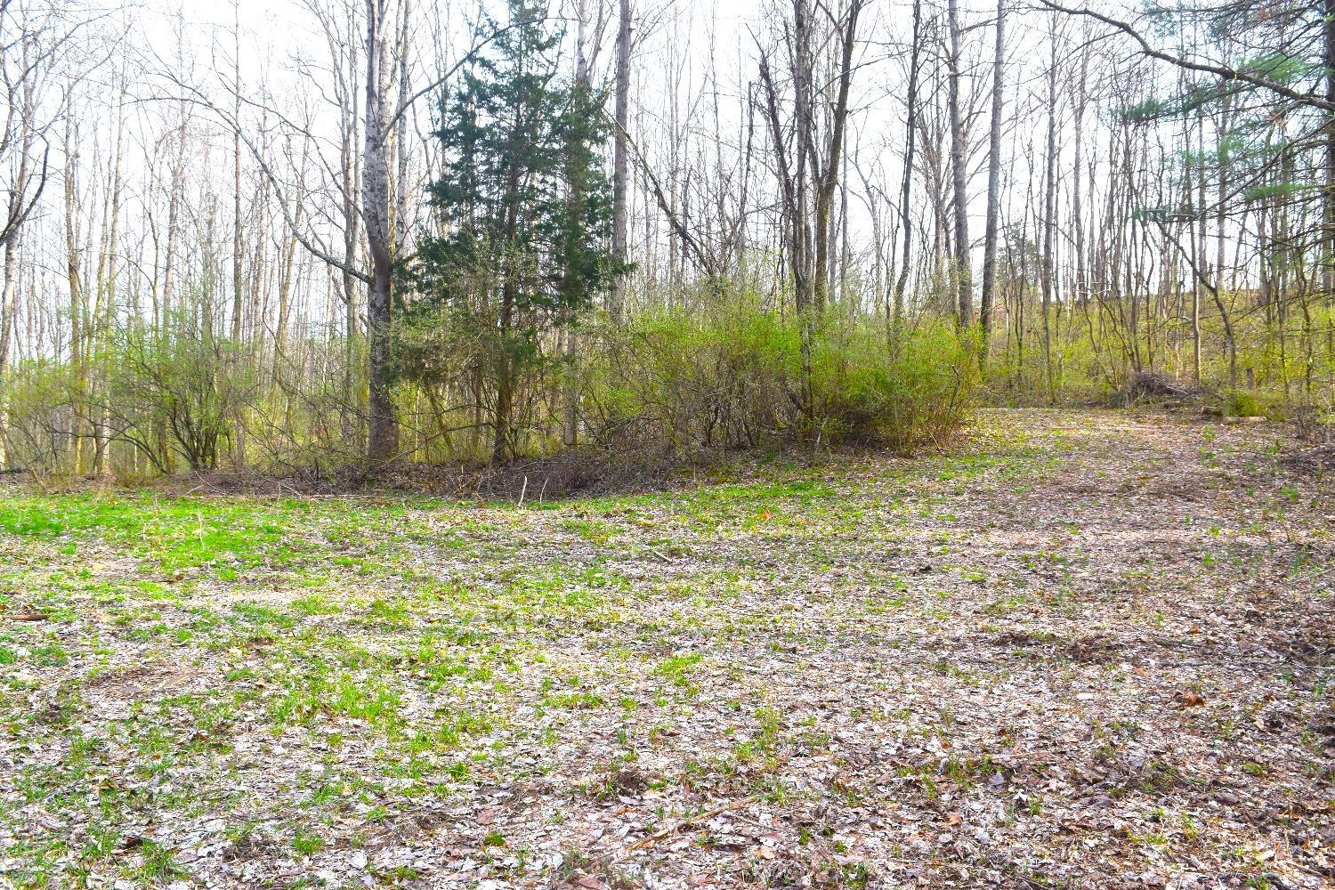 Woodland Trail Road, Metamora, Indiana image 8