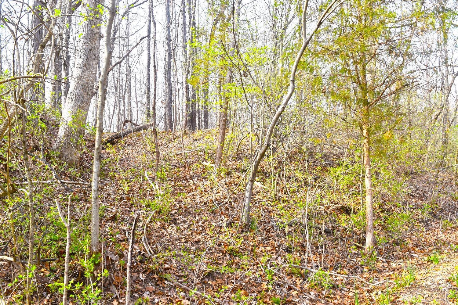 Woodland Trail Road, Metamora, Indiana image 1