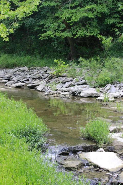 Vacant Land For Sale - Big Indian Road<br/> Monroe, OH 45153