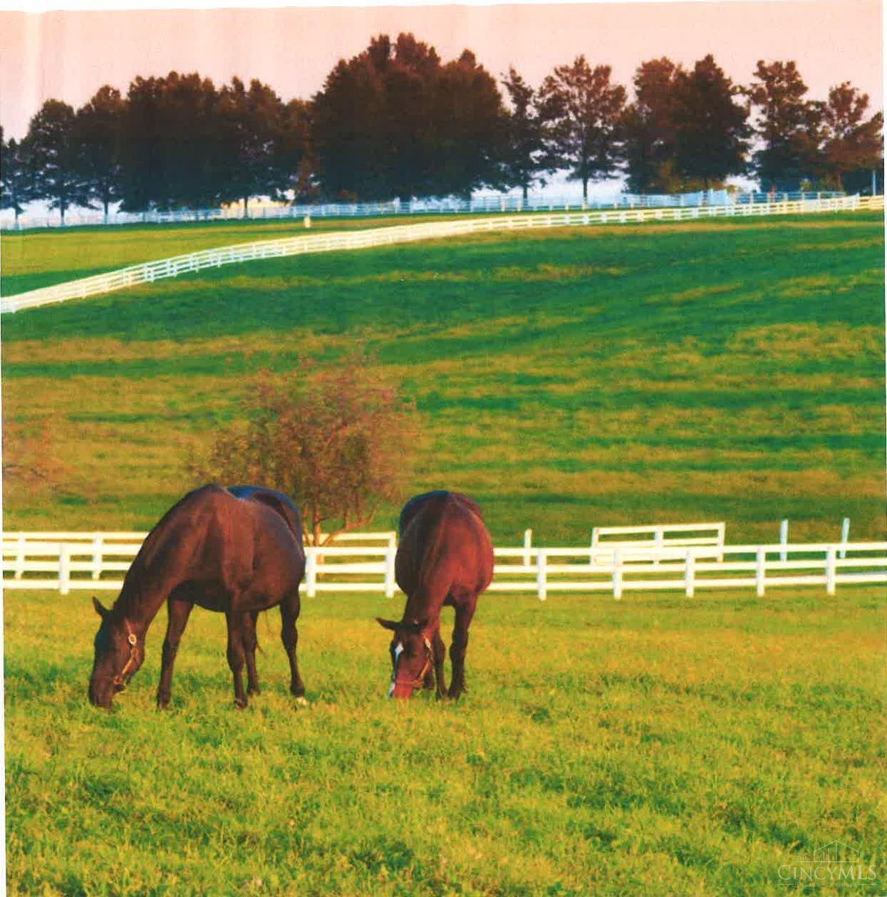 Clayton, Ohio 45315, United States, ,Land,Active,198708