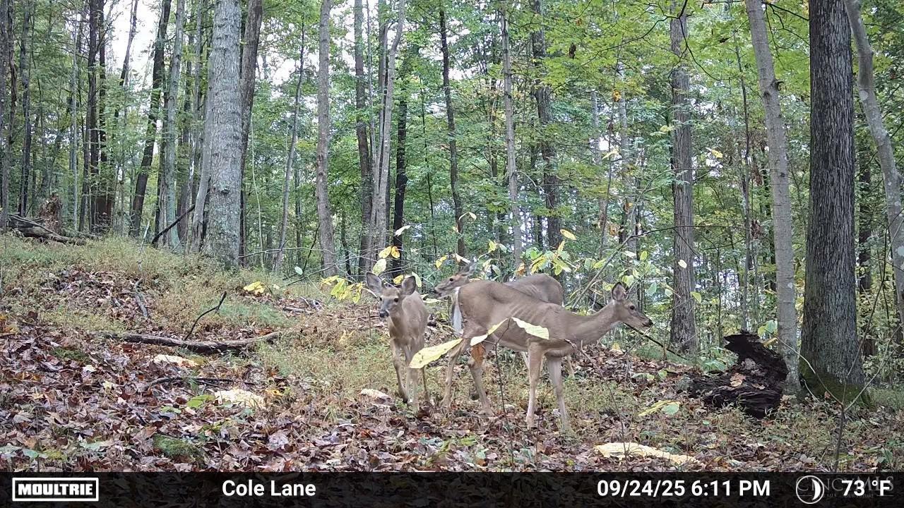 4655 Grassy Fork Road