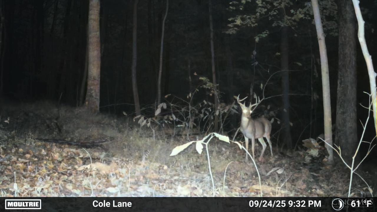 4655 Grassy Fork Road