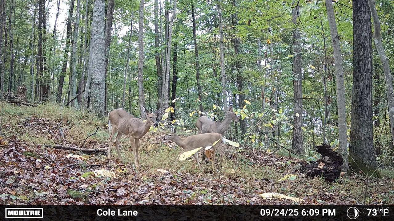 4655 Grassy Fork Road