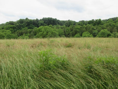 Vacant Land For Sale - Dewitt Road<br/> Dearborn County, Moores Hill, IN 47032