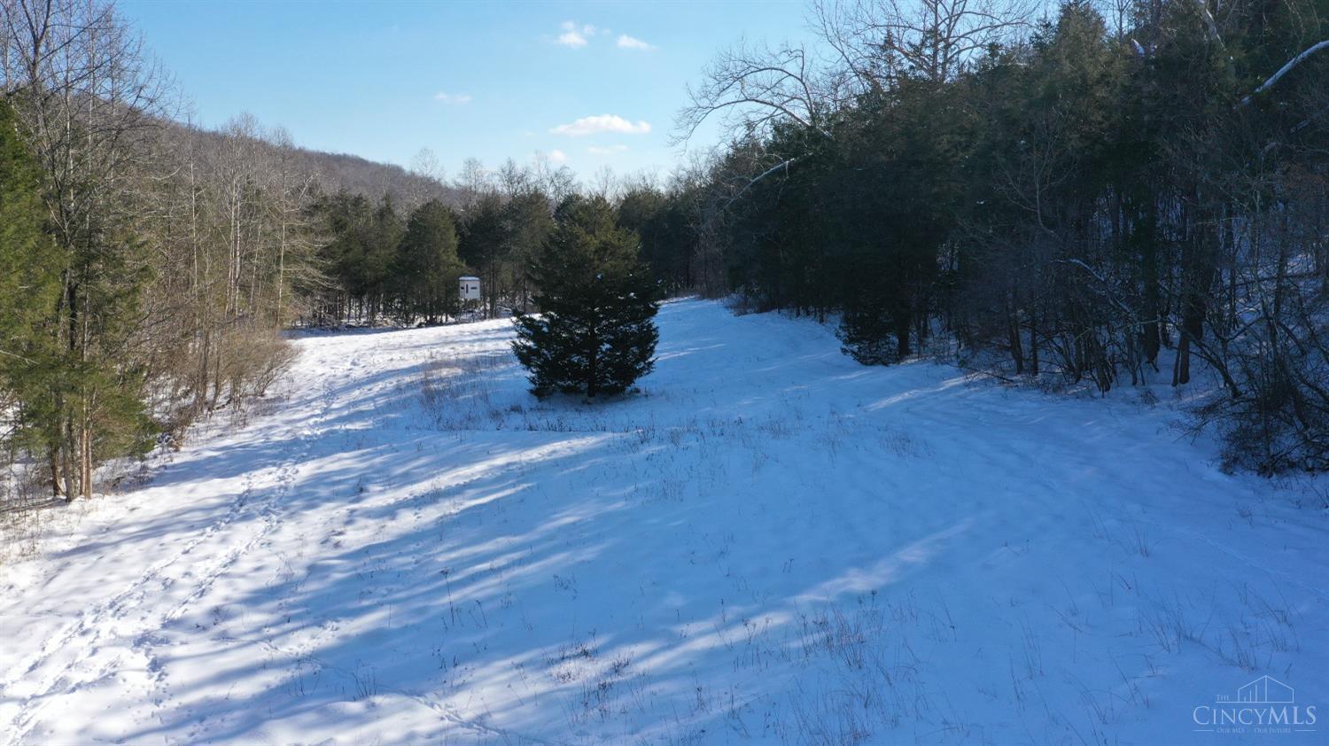 .9ac Beasley Fork Road, West Union, Ohio image 7