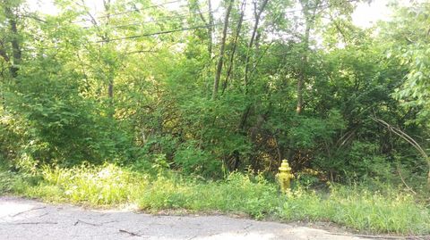 Vacant Land For Sale - 4658 Reemelin Avenue<br/> Cincinnati, OH 45223