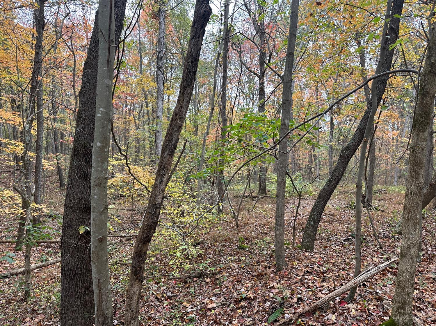 Van Crabtree Rd, Lucasville, Ohio image 2