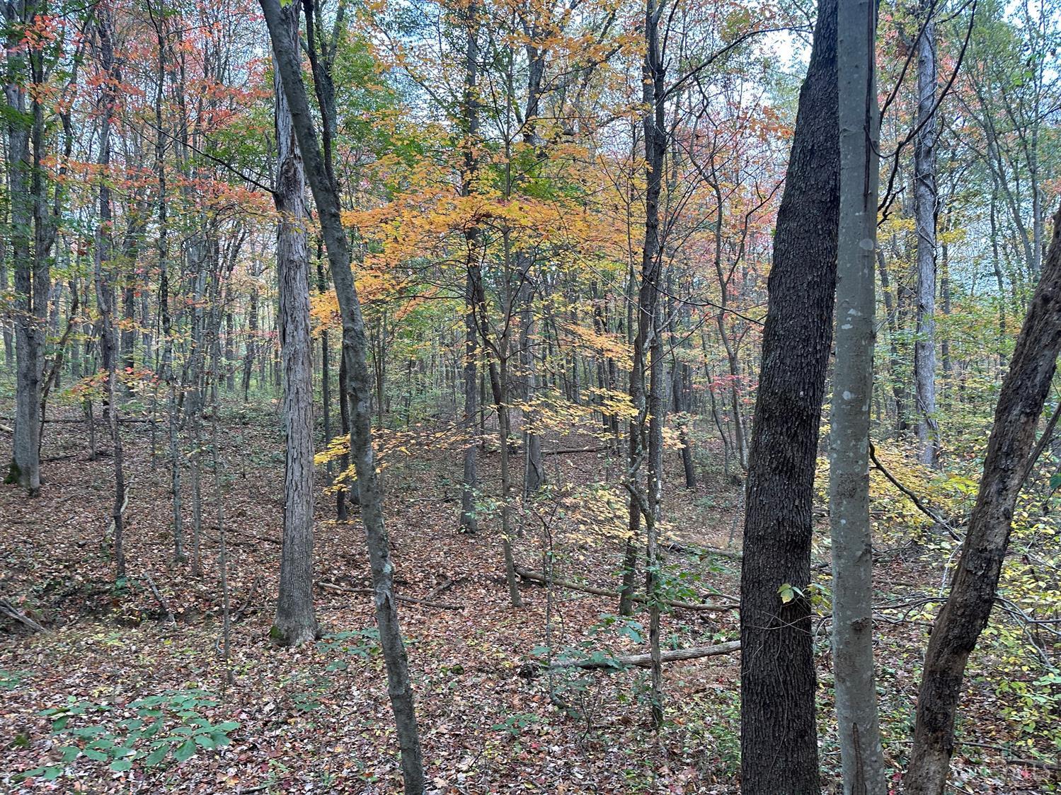 Van Crabtree Rd, Lucasville, Ohio image 3