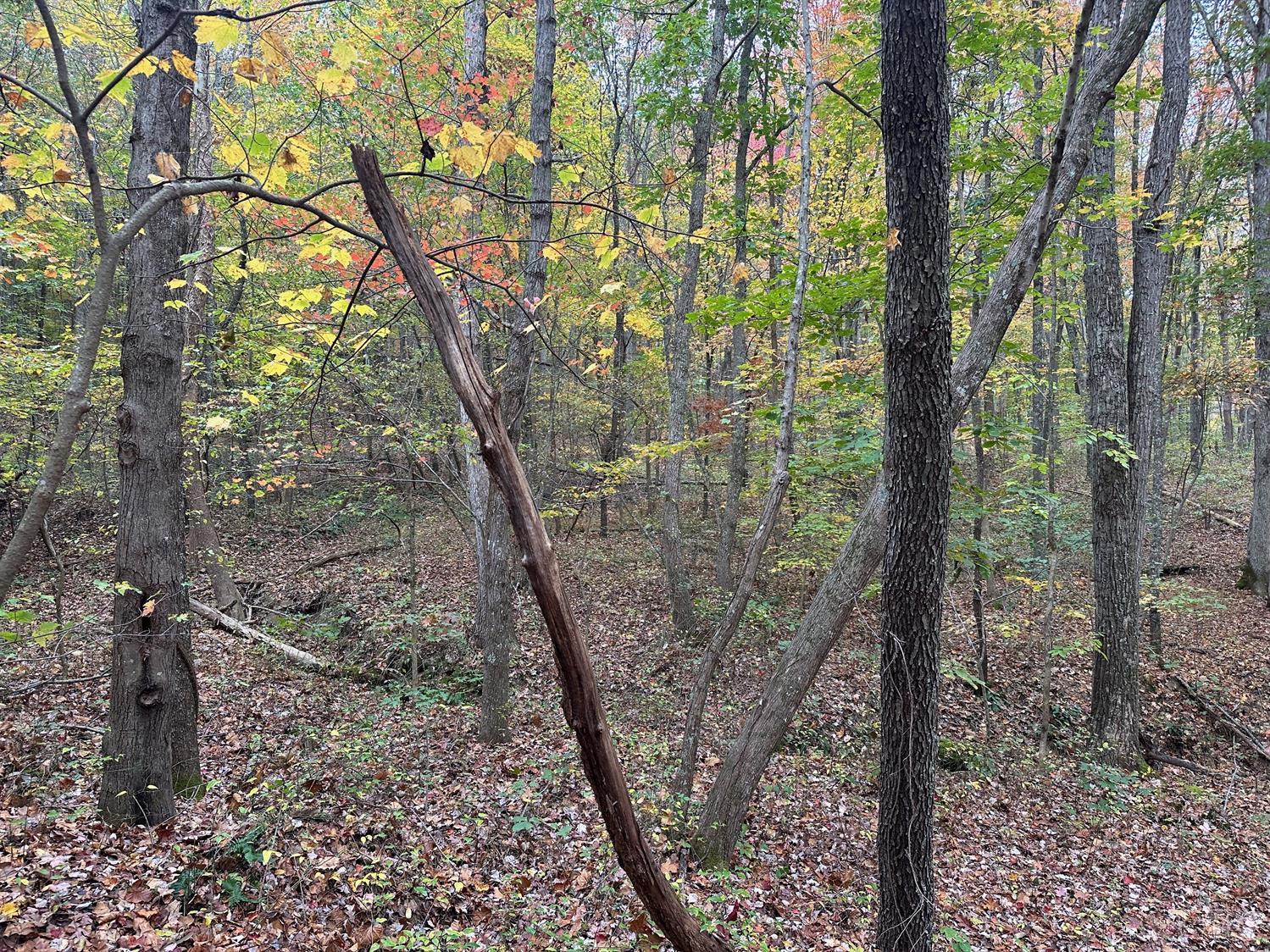Van Crabtree Rd, Lucasville, Ohio image 1