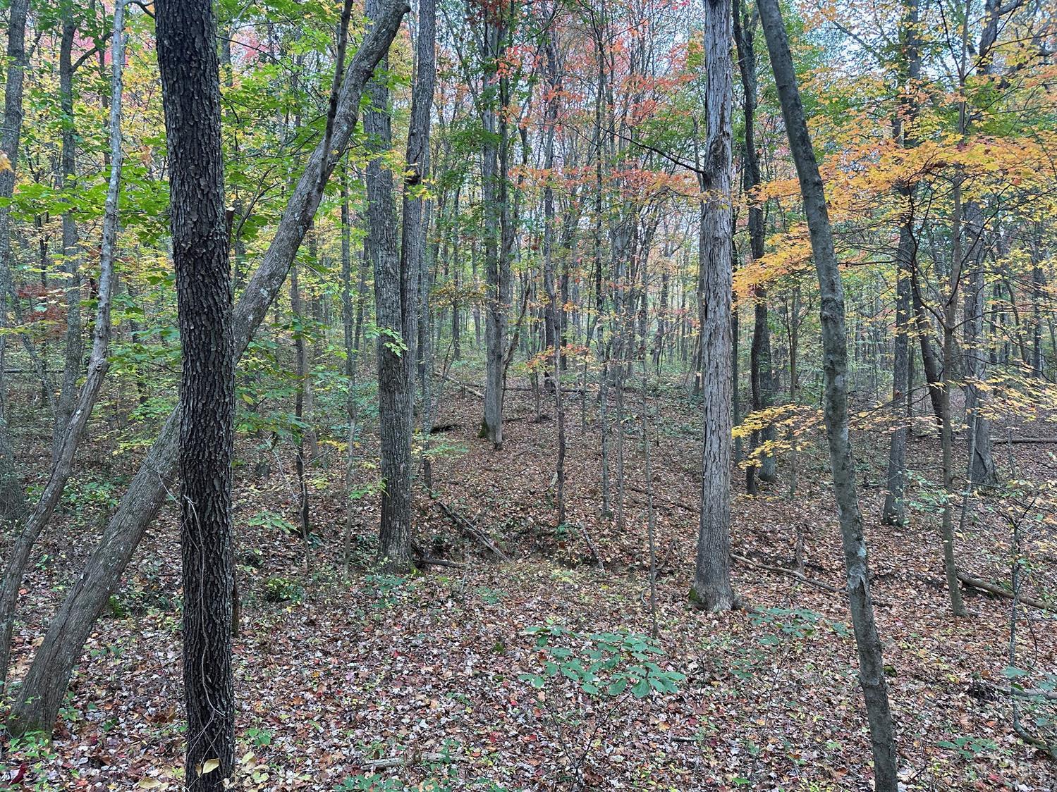 Van Crabtree Rd, Lucasville, Ohio image 4